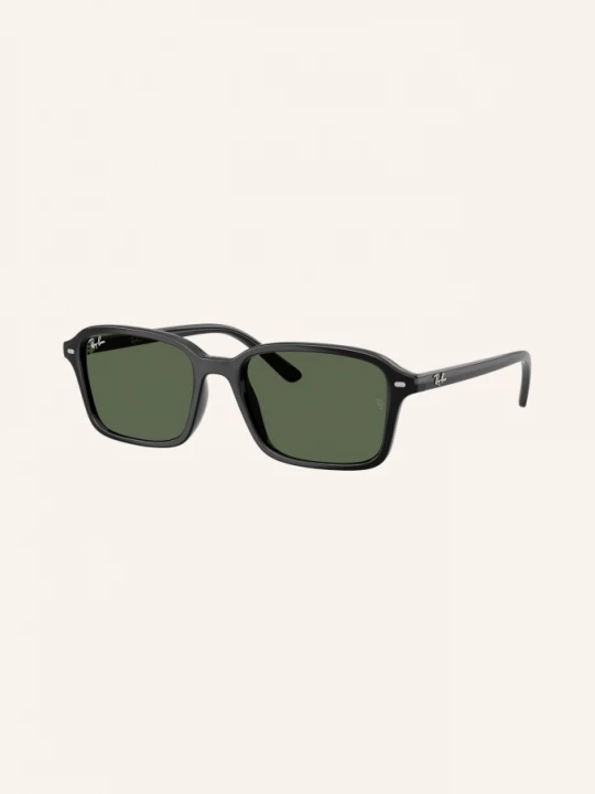 Obrázek produktu Ray-Ban Sluneční Brýle rb9131s černá/ tmavě zelená