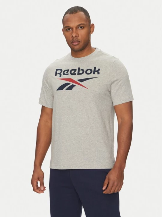 Obrázek produktu Reebok T-Shirt 100217137 Šedá Regular Fit