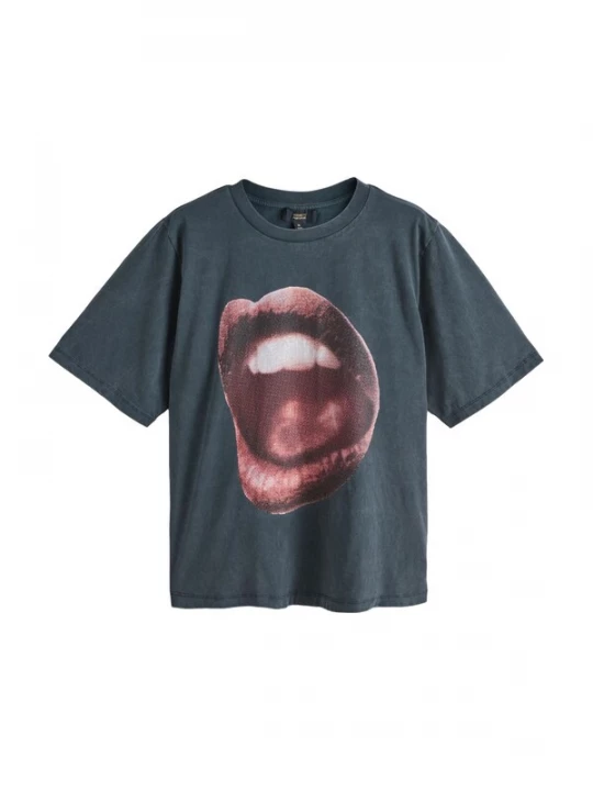 Obrázek produktu Rockett St George Tričko 'Lips' tmavě šedá / pastelově červená / černá / offwhite