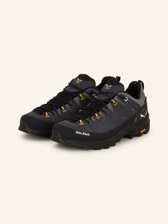 Obrázek produktu Salewa Turistické Boty Alp Trainer 2 Gtx černá