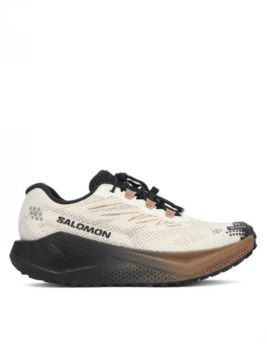 Obrázek produktu Salomon Běžecké boty Aero Blaze 4 gtx GORE-TEX L45403900 Béžová