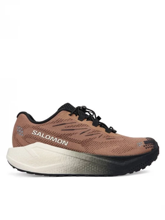 Obrázek produktu Salomon Běžecké boty Aero Blaze 4 L45400500 Hnědá
