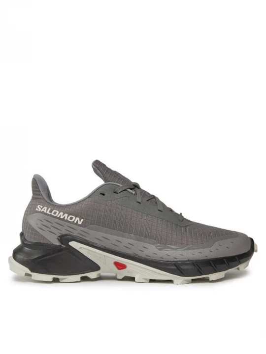 Obrázek produktu Salomon Běžecké boty Alphacross 5 473133 29 W0 Šedá