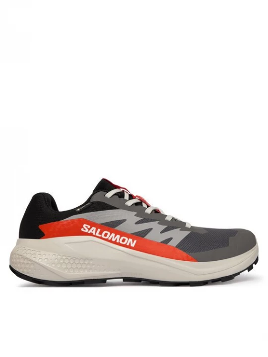 Obrázek produktu Salomon Běžecké boty Alphaglide Gore-Tex L47975300 Šedá