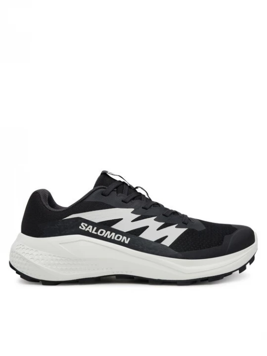 Obrázek produktu Salomon Běžecké boty Alphaglide L47801500 Černá