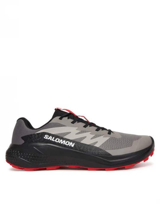 Obrázek produktu Salomon Běžecké boty Alphaglide L48000800 Šedá
