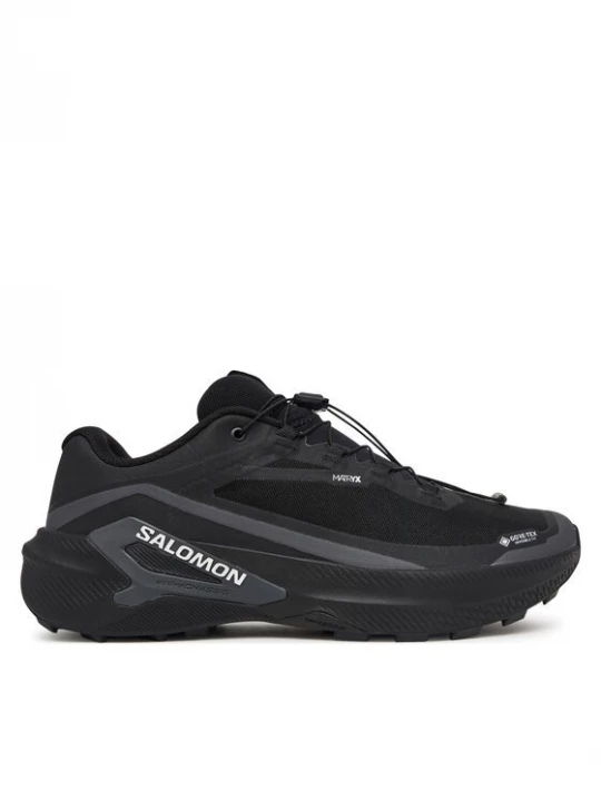Obrázek produktu Salomon Běžecké boty Genesis 2 GTX L49300300 Černá