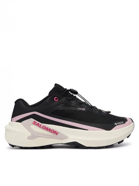 Obrázek produktu Salomon Běžecké boty Genesis 2 GTX L49309300 Černá
