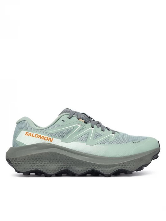 Obrázek produktu Salomon Běžecké boty Ultra Flow 2 Gtx GORE-TEX L45473900 Zelená