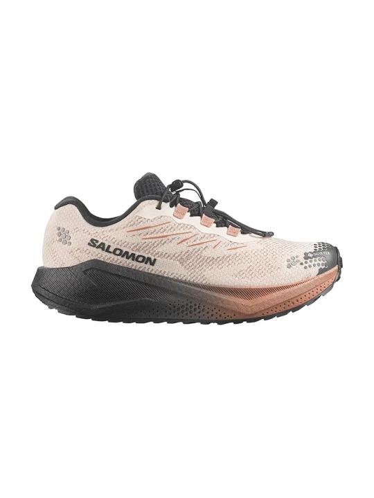 Obrázek produktu Salomon boty na běhání pánské AERO BLAZE 4 GRVL GTX béžová
