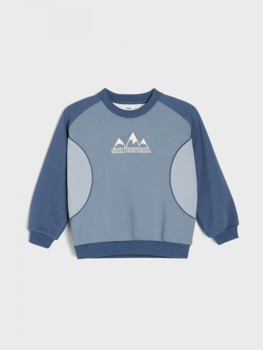 Obrázek produktu Sinsay - Bluza crewneck loose z dekoracyjnymi cięciami i kontrastową lamówką - szary