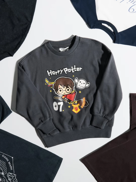 Obrázek produktu Sinsay - Bluza crewneck soft touch z nadrukiem Harry Potter - szary