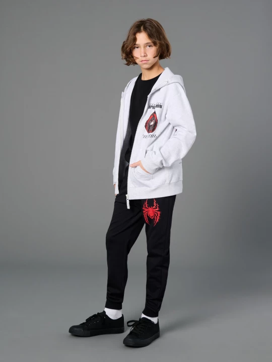 Obrázek produktu Sinsay - Bluza Spider-Man - szary
