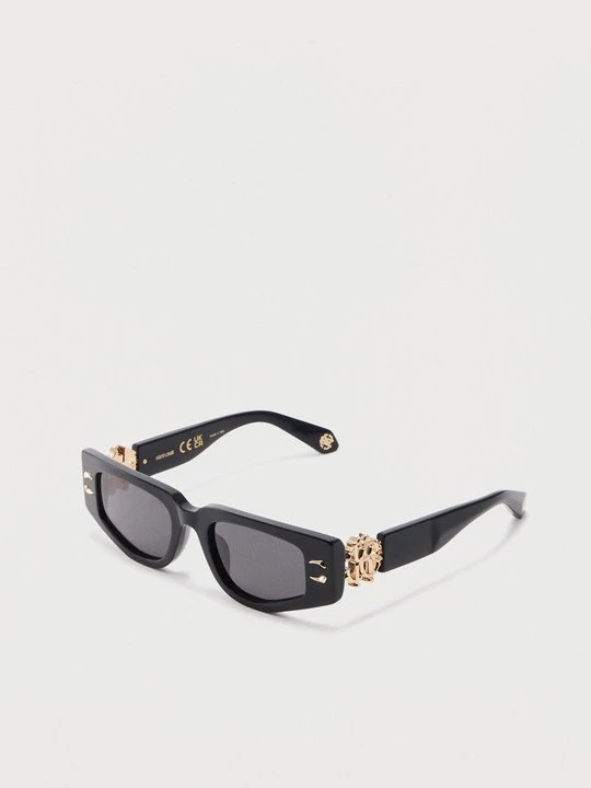 Obrázek produktu Sluneční brýle Roberto Cavalli