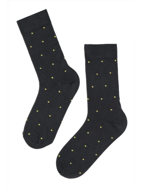 Obrázek produktu Sokisahtel Ponožky 'gray cotton socks' stříbrná
