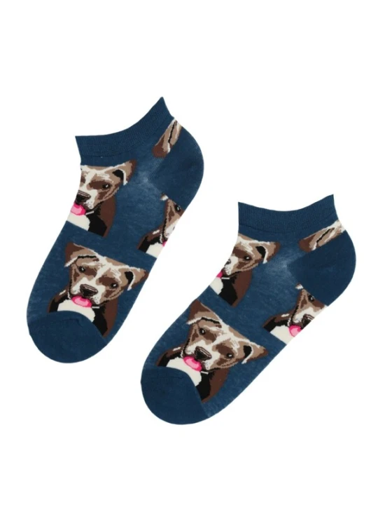 Obrázek produktu Sokisahtel Ponožky 'PITBULL cotton low-cut socks' mix barev