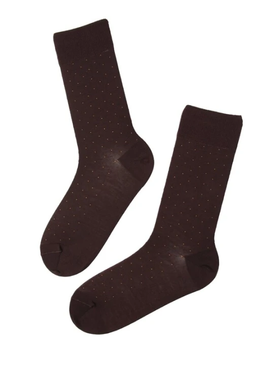 Obrázek produktu Sokisahtel Ponožky 'VEIKO merino socks for men' bordó