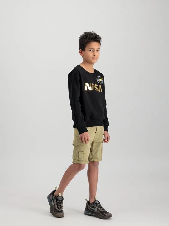 Obrázek produktu Šortky Alpha Industries písková