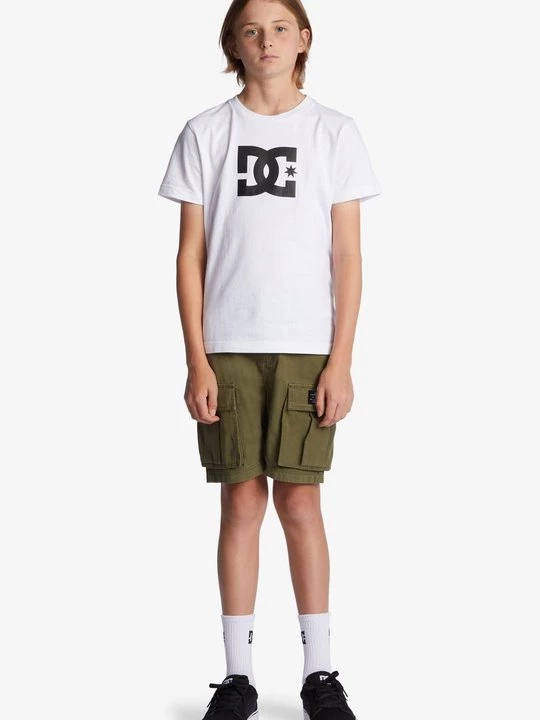 Obrázek produktu Šortky DC Shoes zelená
