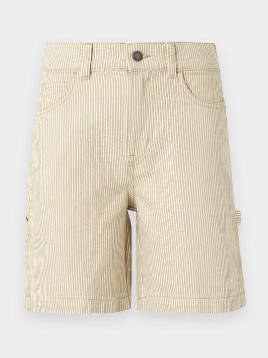 Obrázek produktu Šortky Dickies světle zelená