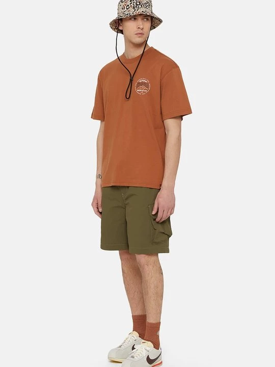 Obrázek produktu Šortky Dickies olivová