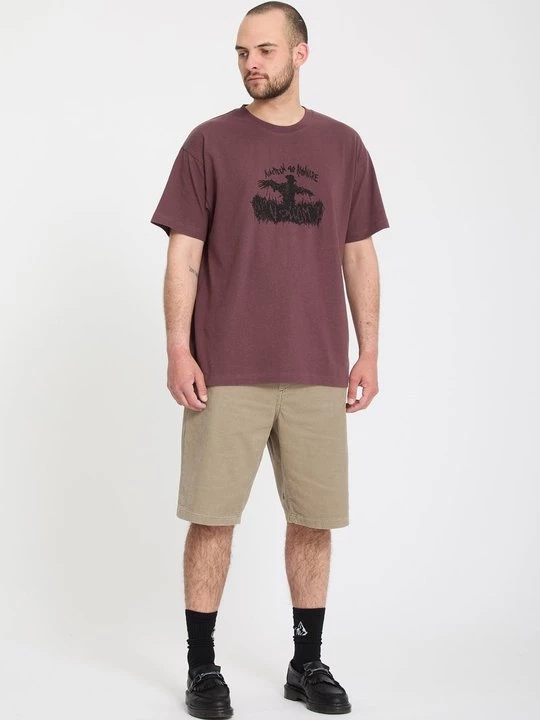Obrázek produktu Šortky Volcom béžová