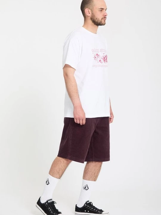 Obrázek produktu Šortky Volcom červená