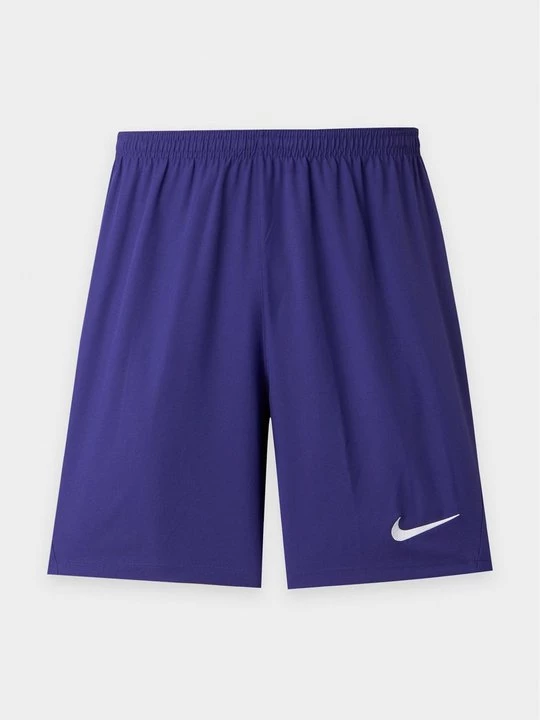 Obrázek produktu Sportovní kraťasy Nike fialová