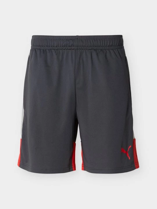 Obrázek produktu Sportovní kraťasy Puma