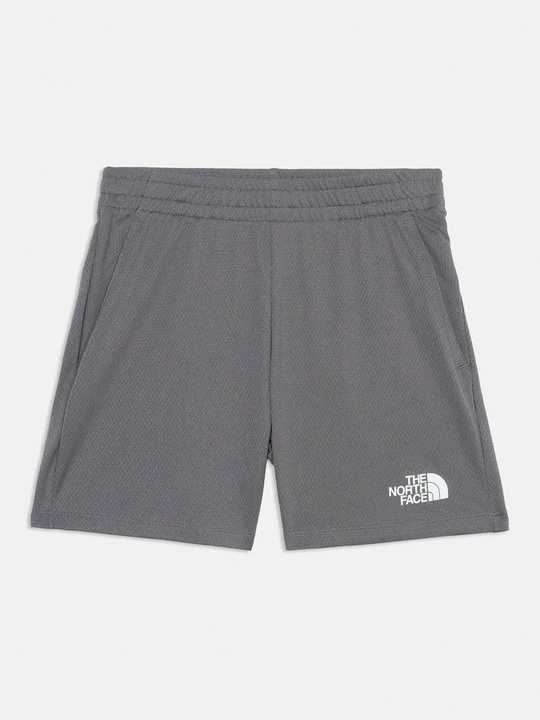 Obrázek produktu Sportovní kraťasy The North Face