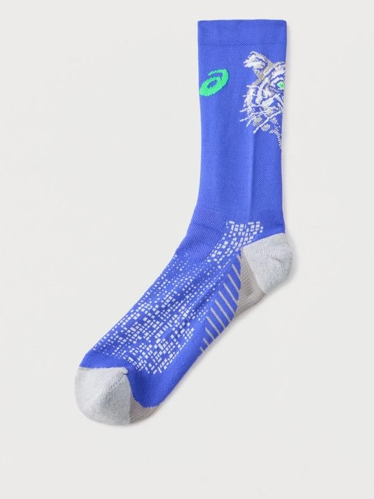 Obrázek produktu Sportovní ponožky Asics modrá