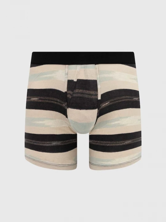 Obrázek produktu Stance Boxerky Stance Trail Bound Boxer Brief béžová