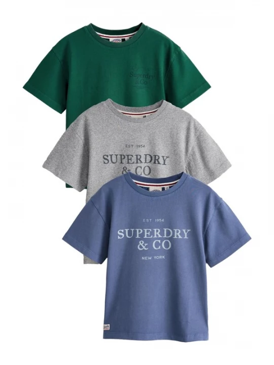 Obrázek produktu Superdry & Co Tričko modrá / šedá / tmavě zelená