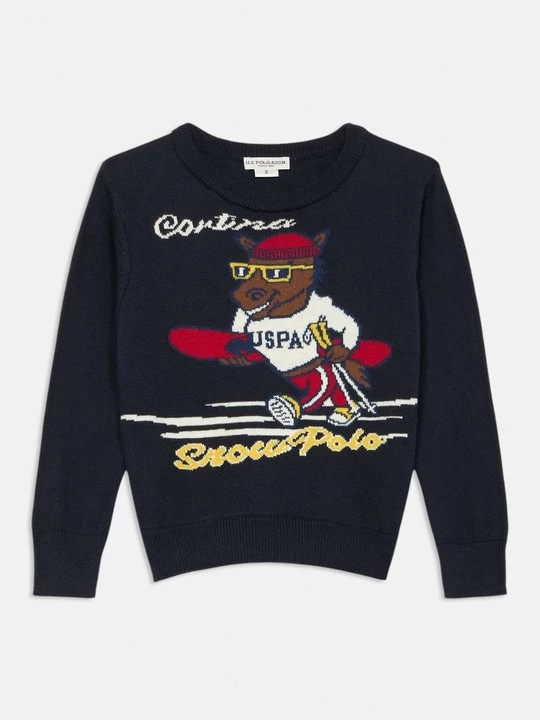 Obrázek produktu Svetr U.S. Polo Assn.