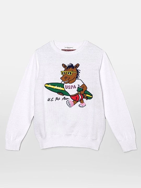 Obrázek produktu Svetr U.S. Polo Assn.