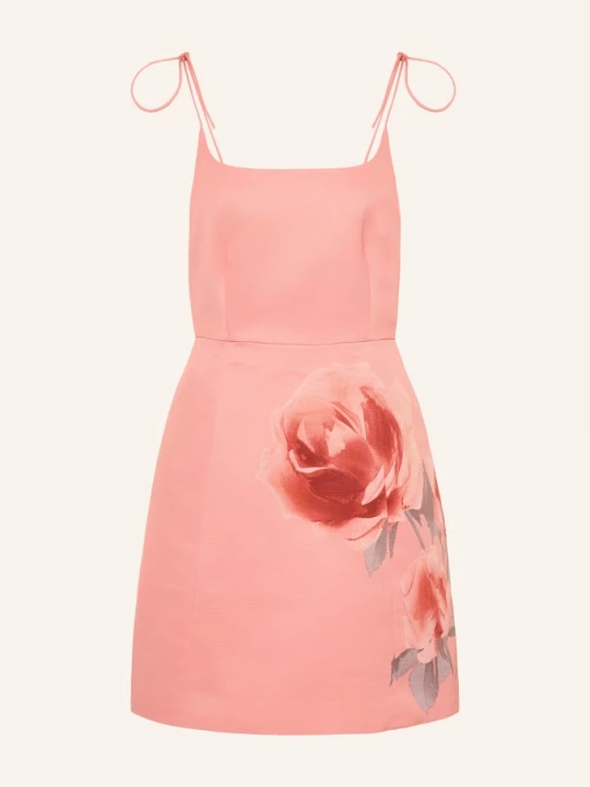 Obrázek produktu Ted Baker Šaty Rasbee růžová / růžová / starorůžová