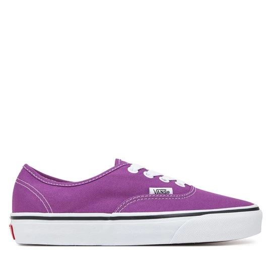 Obrázek produktu Tenisky Vans Authentic VN000D6GE2T1 Fialová