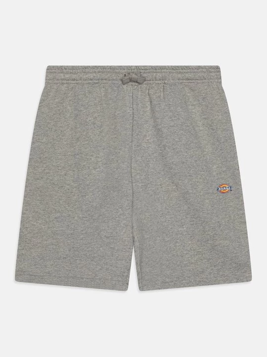 Obrázek produktu Teplákové kalhoty Dickies