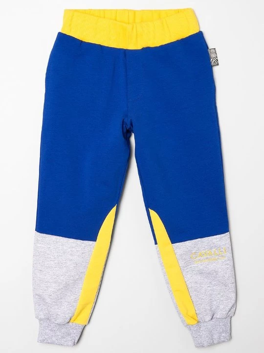 Obrázek produktu Teplákové kalhoty Roberto Cavalli Junior