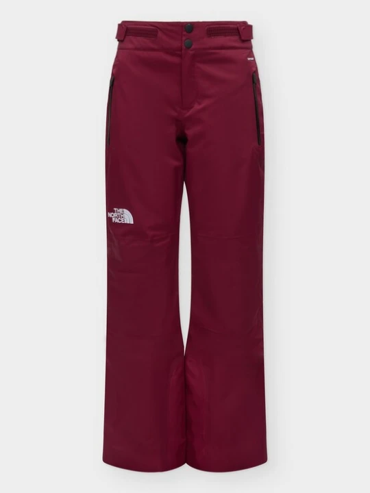 Obrázek produktu THE NORTH FACE Sportovní kalhoty 'LENADO' burgundská červeň