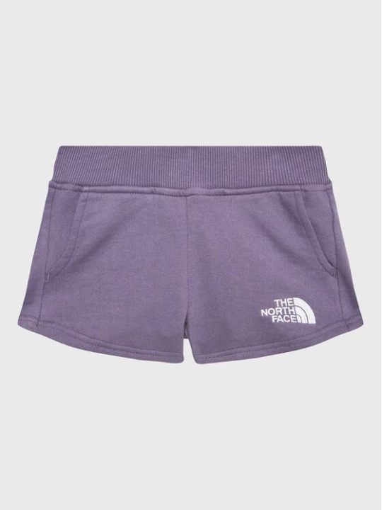 Obrázek produktu The North Face Sportovní kraťasy NF0A82EK Fialová Regular Fit