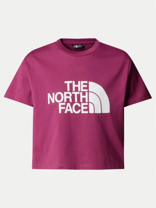 Obrázek produktu The North Face T-Shirt Easy NF0A8DRQ Růžová Relaxed Fit