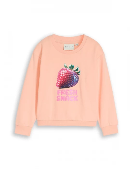 Obrázek produktu TOM TAILOR Mikina smaragdová / bobule / broskvová / pink