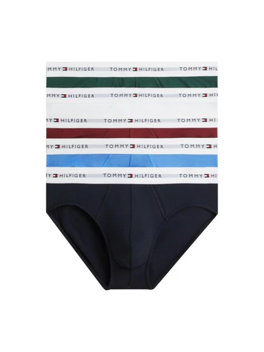 Obrázek produktu TOMMY HILFIGER Slipy 'Repeat' námořnická modř / tmavě zelená / tmavě červená / bílá