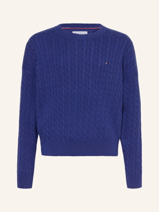 Obrázek produktu Tommy Hilfiger Svetr modrá