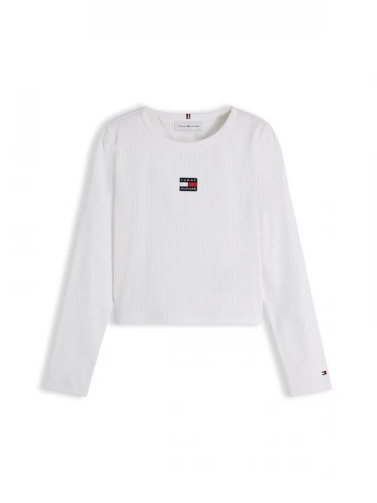 Obrázek produktu TOMMY HILFIGER Tričko 'HERITAGE' tmavě modrá / jasně červená / bílá