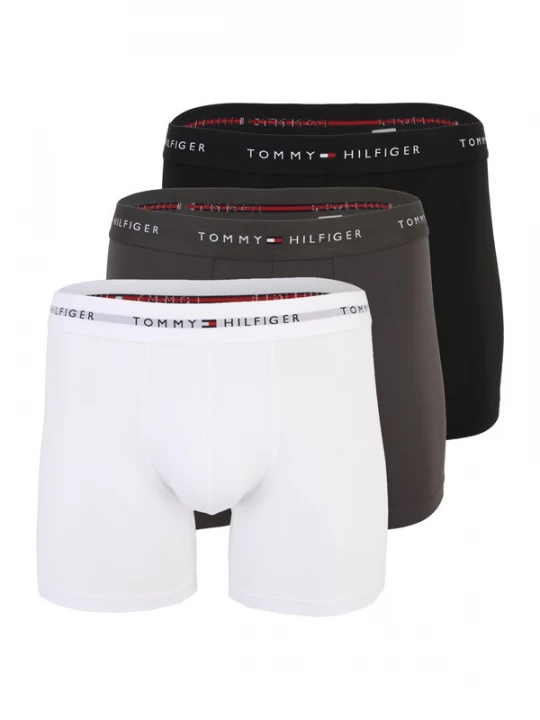 Obrázek produktu Tommy Hilfiger Underwear Boxerky tmavě šedá / černá / bílá
