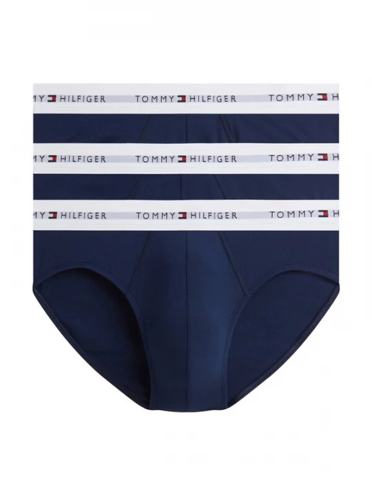 Obrázek produktu Tommy Hilfiger Underwear Slipy námořnická modř / šedá / jasně červená / bílá