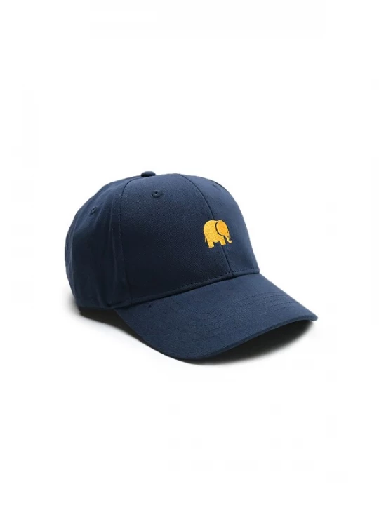 Obrázek produktu Trendsplant Kšiltovka ' CLASSIC 6 PANEL '  modrá