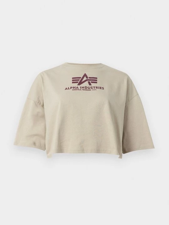 Obrázek produktu Triko s potiskem Alpha Industries béžová